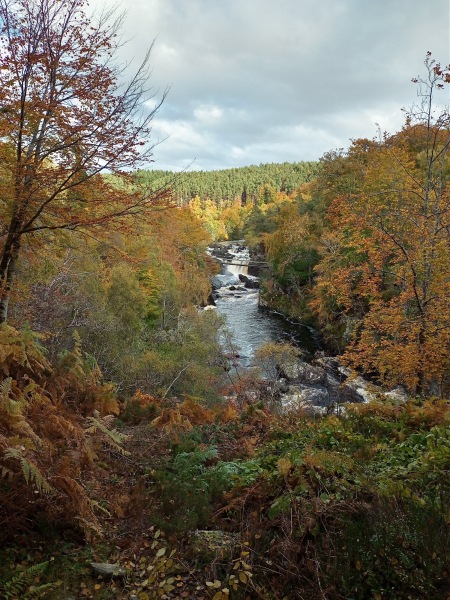 Show me your autumn pics :-)