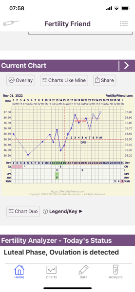 🤞🏽 Triphasic chart or hopeful thinking?