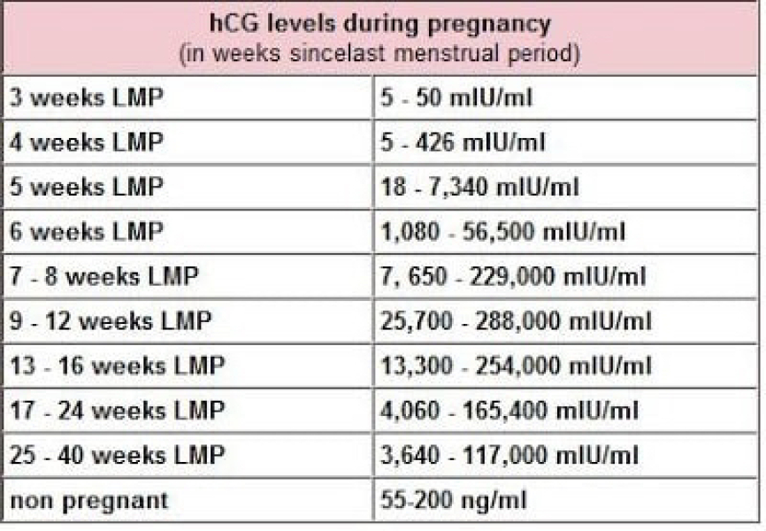Are these hcg levels low?