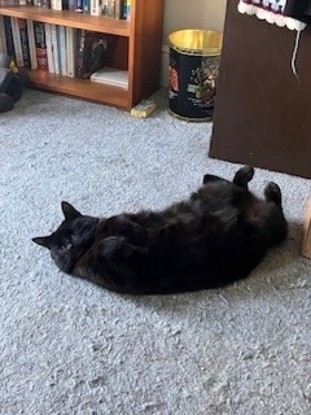 Thread 1 - Lifeboat Muster Point for TalkExiles