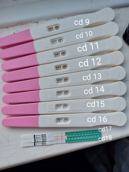 Opk help please 