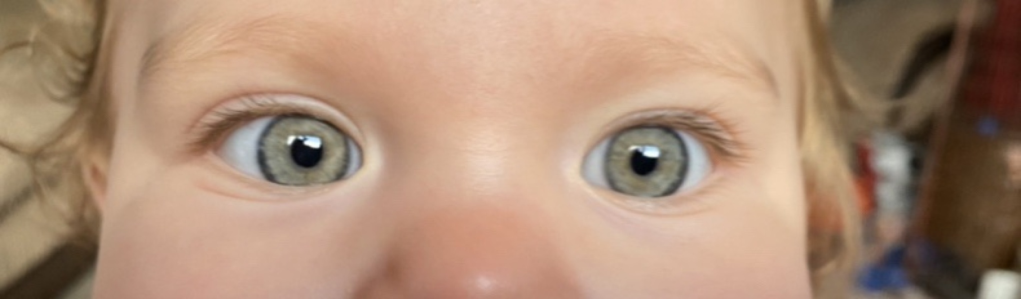What colour would you say my girls eyes are?