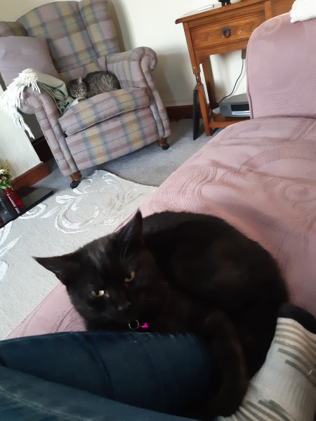 Come and tell me your dull and unexciting news 24: Calmly through the day 