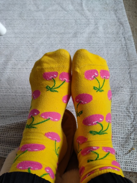 The joy of socks