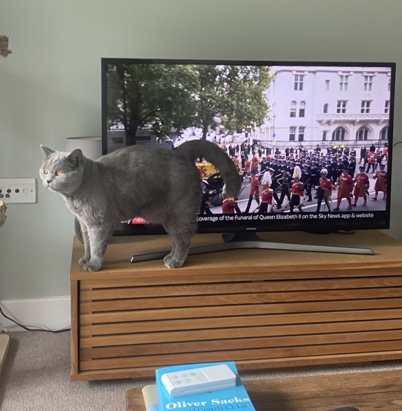 Thread 1 - Lifeboat Muster Point for TalkExiles