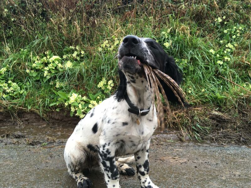 Thread 1 - Lifeboat Muster Point for TalkExiles