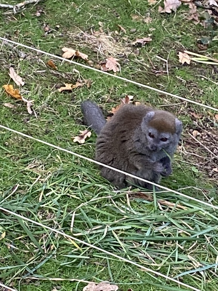 Frugal the flip to make the festivities fun