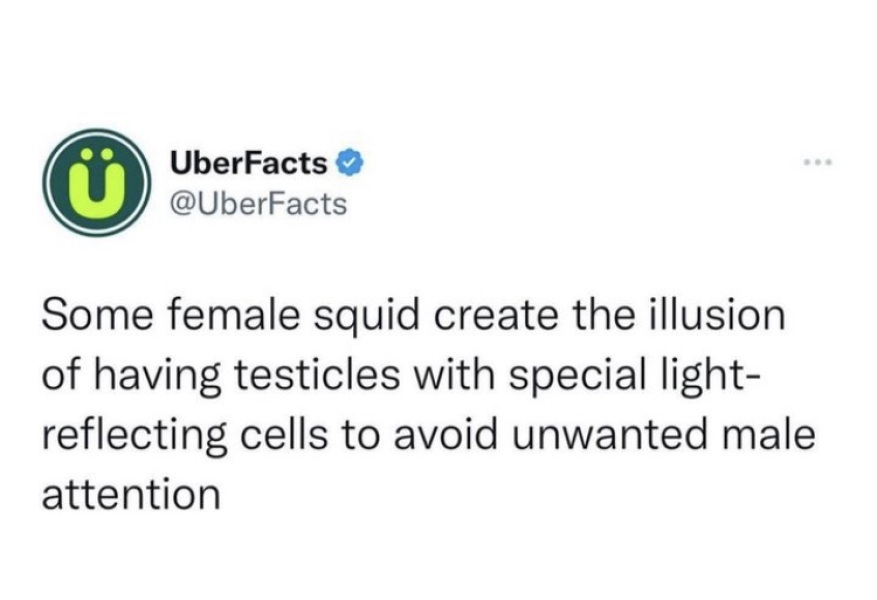 For when they say 'but some fish change sex'