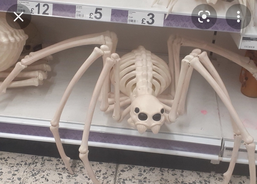 Did anyone get that big £30 spider skeleton from Asda? 