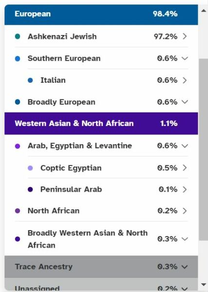 David Badiel - Jews Don't Count. Shocked