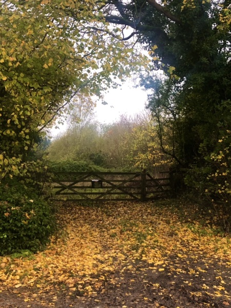 Show me your autumn pics :-)