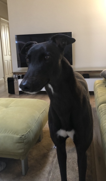 Thread 1 - Lifeboat Muster Point for TalkExiles