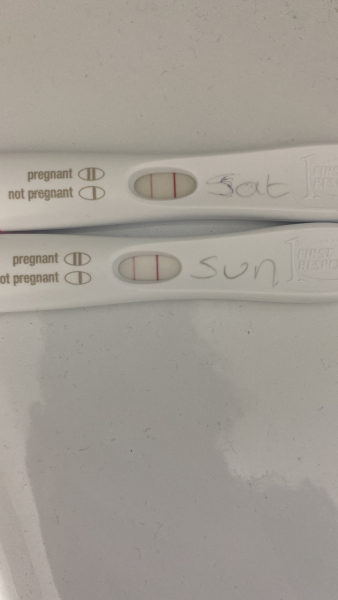 ICSI - embryo transfer complete!