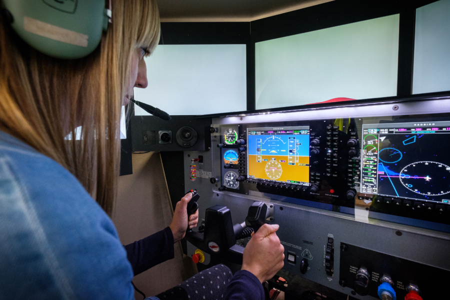 Flight Simulator Experience