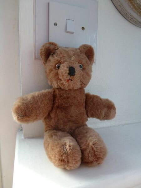 Anyone still have their childhood teddy?