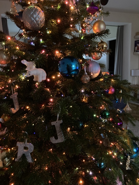 Non judgemental Christmas Decorations thread. 