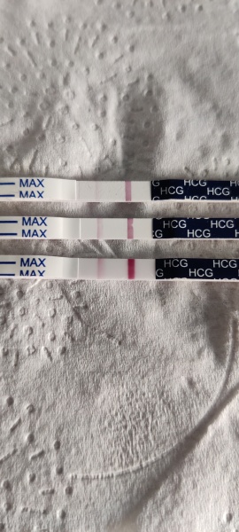 Short luteal phase?
