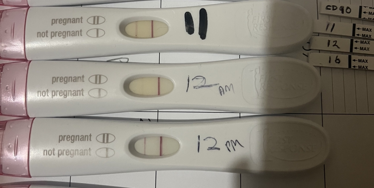 1-2 DPO time to TWW 31.10.2022