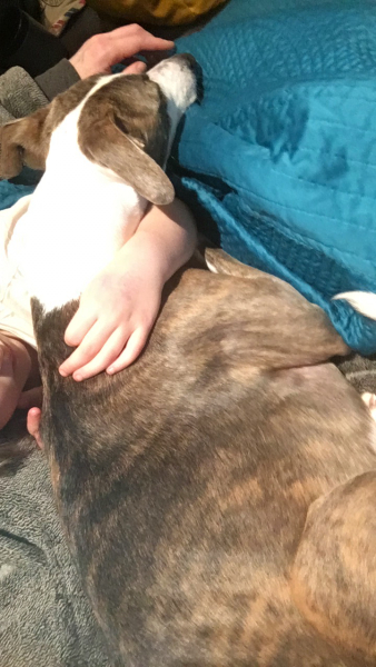 Anyone up for a 'My Dog POV' thread?