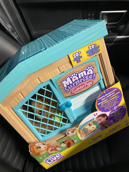 Thread 16 - the one where Dairy Milk broke a tooth in half 