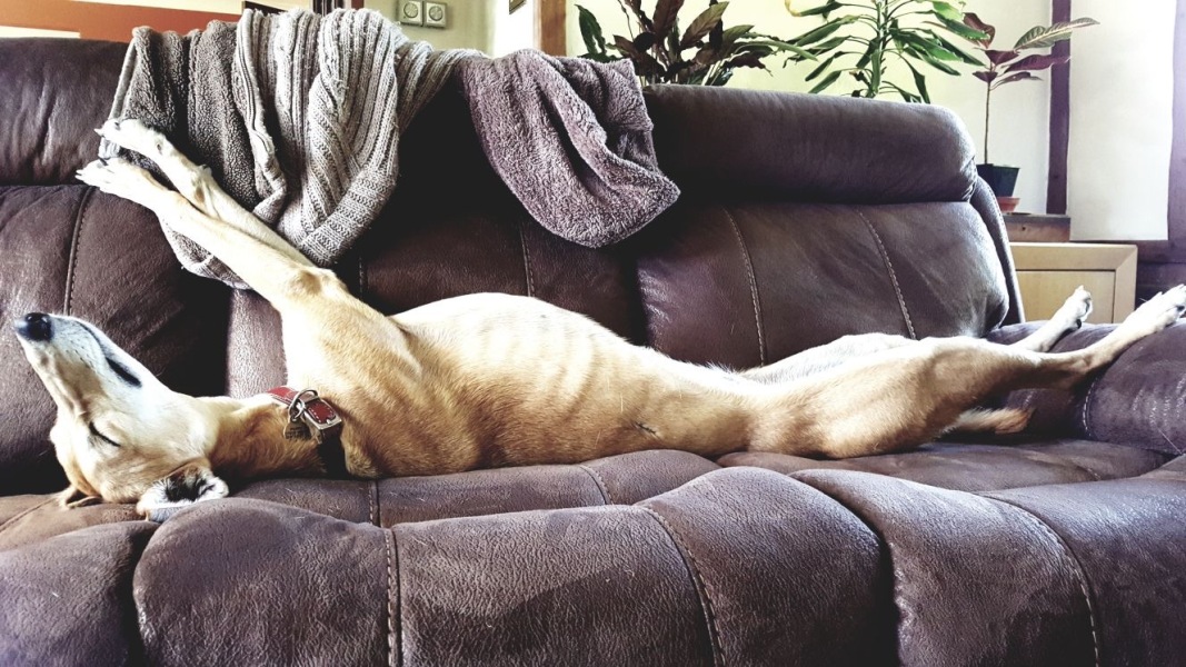 Thread 1 - Lifeboat Muster Point for TalkExiles