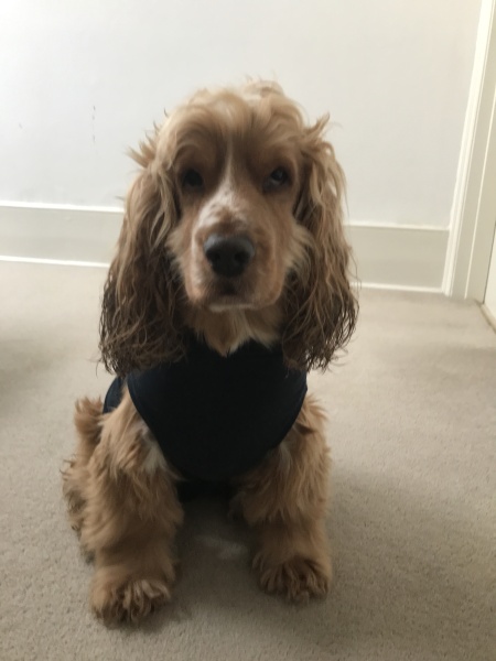 Frugal the flip to make the festivities fun