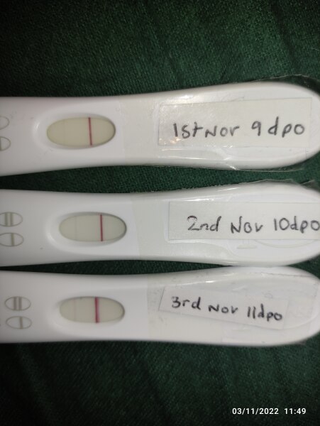 Support for Women who are TTC or Pregnant Following a Termination for Abnormalities- Thread 8