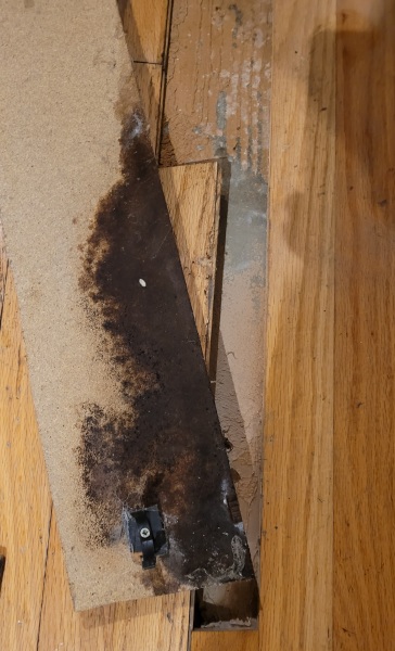 How to deal with this mould :(
