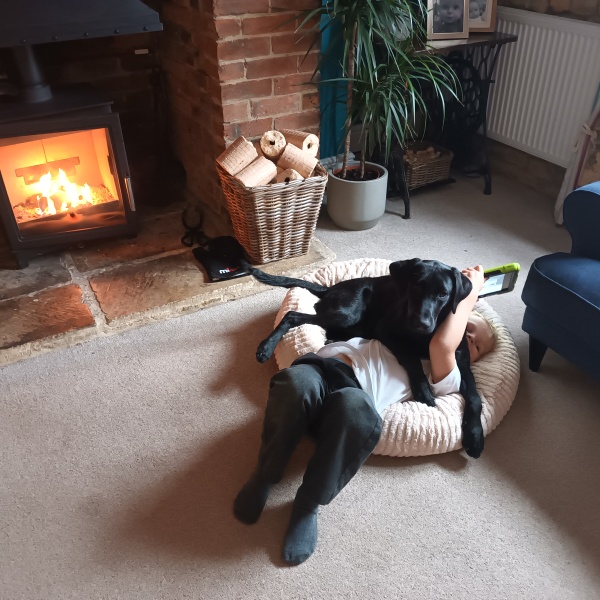 Anyone up for a 'My Dog POV' thread?