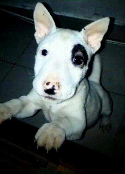 WHSmith trendy stationary around 2000