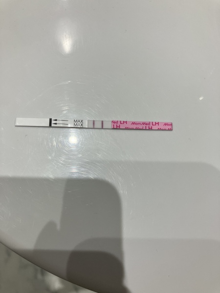 Ovulation after miscarriage?