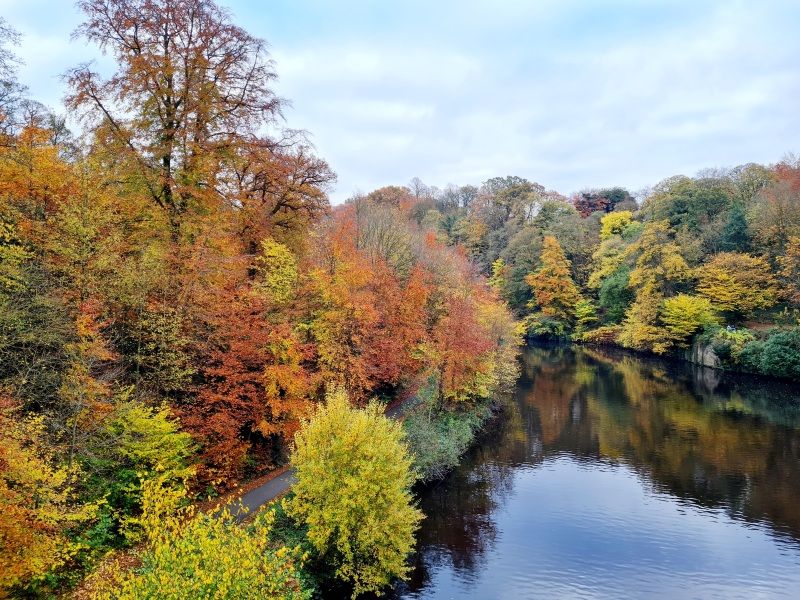 Show me your autumn pics :-)