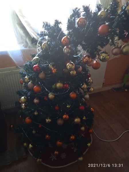 Help? I've acquired a very young kitten?