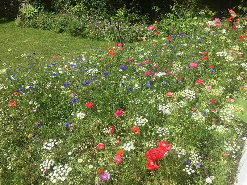 Thread 15 - the one where we broke Amazon 