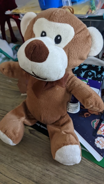 to ask you to help me find this teddy please?