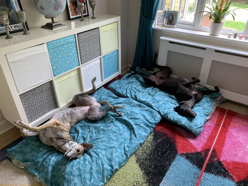 Thread 1 - Lifeboat Muster Point for TalkExiles