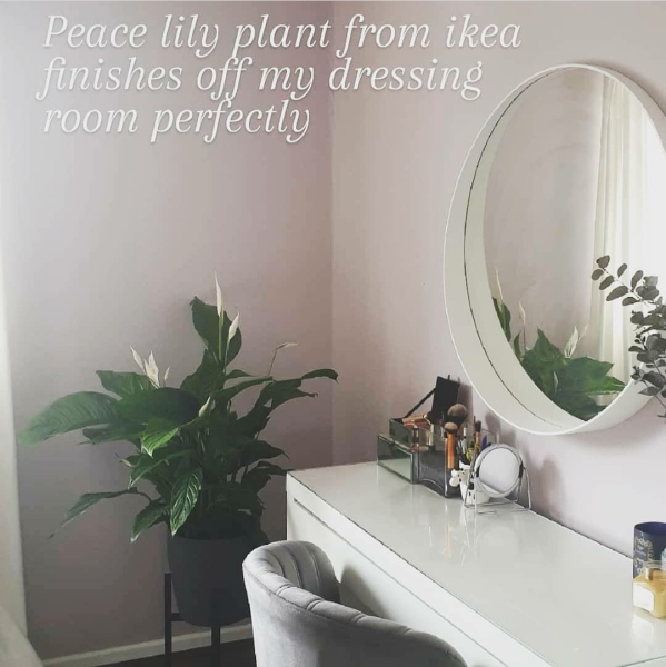 To ask you to show me your Dressing table