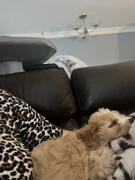 Pre-Christmas 22 Boot Camp: Week 4