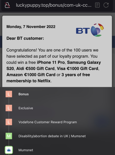 Keep getting sent to a different website 