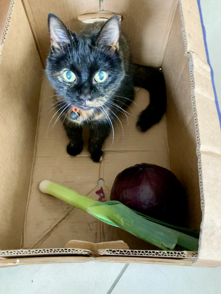 Thread 1 - Lifeboat Muster Point for TalkExiles