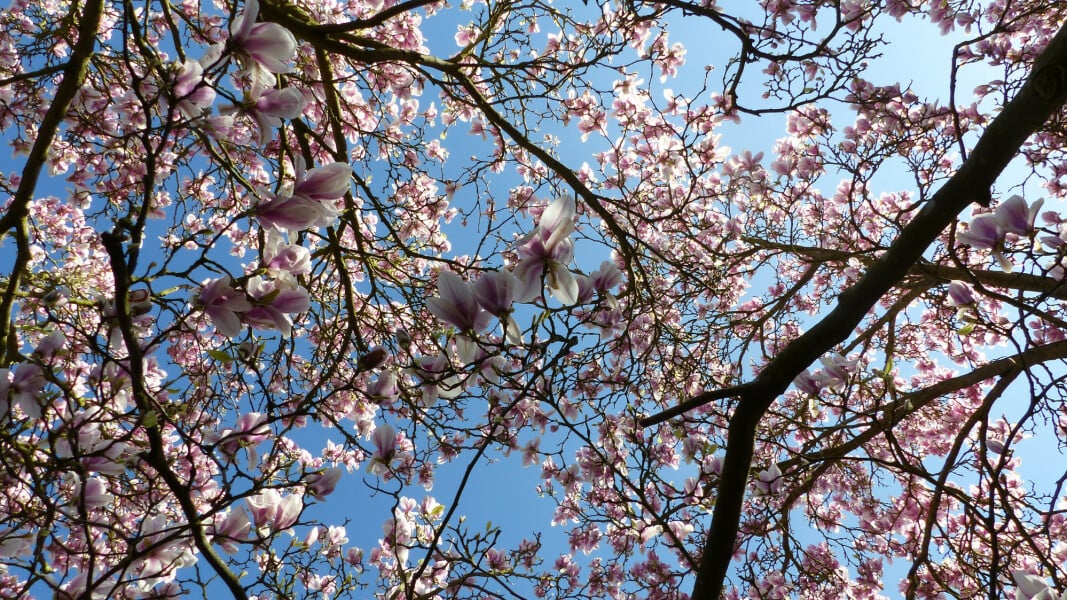 Thread 1 - Lifeboat Muster Point for TalkExiles