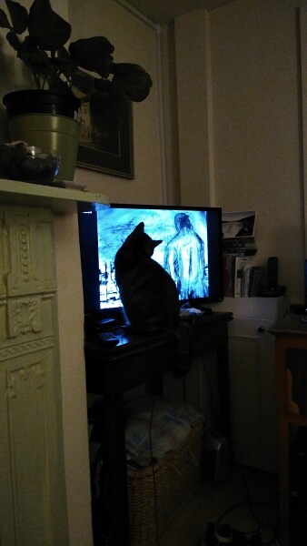 Thread 1 - Lifeboat Muster Point for TalkExiles