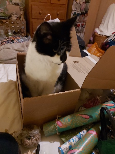The 2022 Poncetastic Christmas Thread