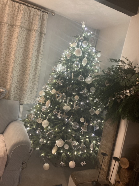 Non judgemental Christmas Decorations thread. 