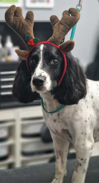 Cancer Support Thread 84 - gently crunching our way into autumn