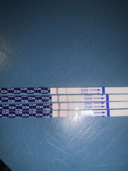 TTC after miscarriage thread 13 💕🌈✨💛