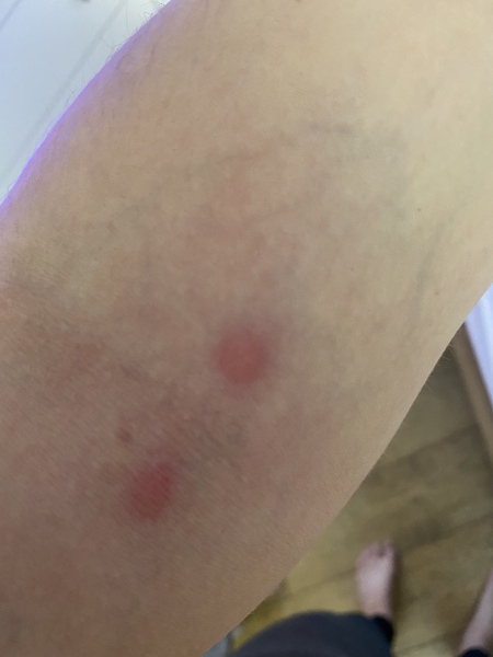 The best deals and discounts Black Friday 2022