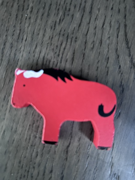 What animal is this?