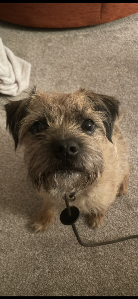 What did you do with your wedding dress? 