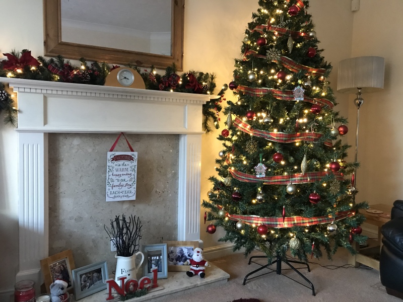 Is your tree up?